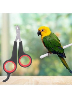 Zerodis Bird Nail Clipper Grooming Tool Nail Scissors Clipper Pet Bird Parrot Small Animals Accessory For Small Parrot Birds  - Image 3