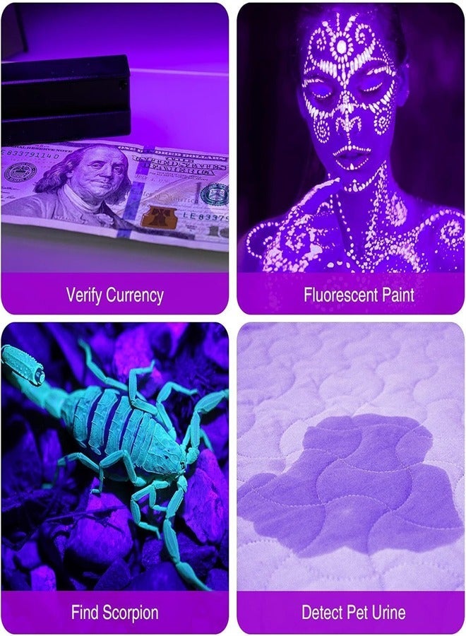 EXCEFORE, 2 Pack UV Flashlights, 12 LED 395nm Blacklight Flash Light, Mini UV Light Torch Detector for Dog Pet Urine Stains, Bed Bugs and Scorpions, Batteries not Included  - Image 4