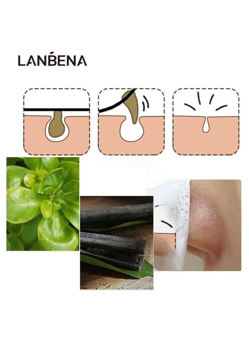 BP - Aloe Vera Blackhead Remover For Blackheads Acne Treatment Natural Beauty Products 30G, 1 Count - Image 1
