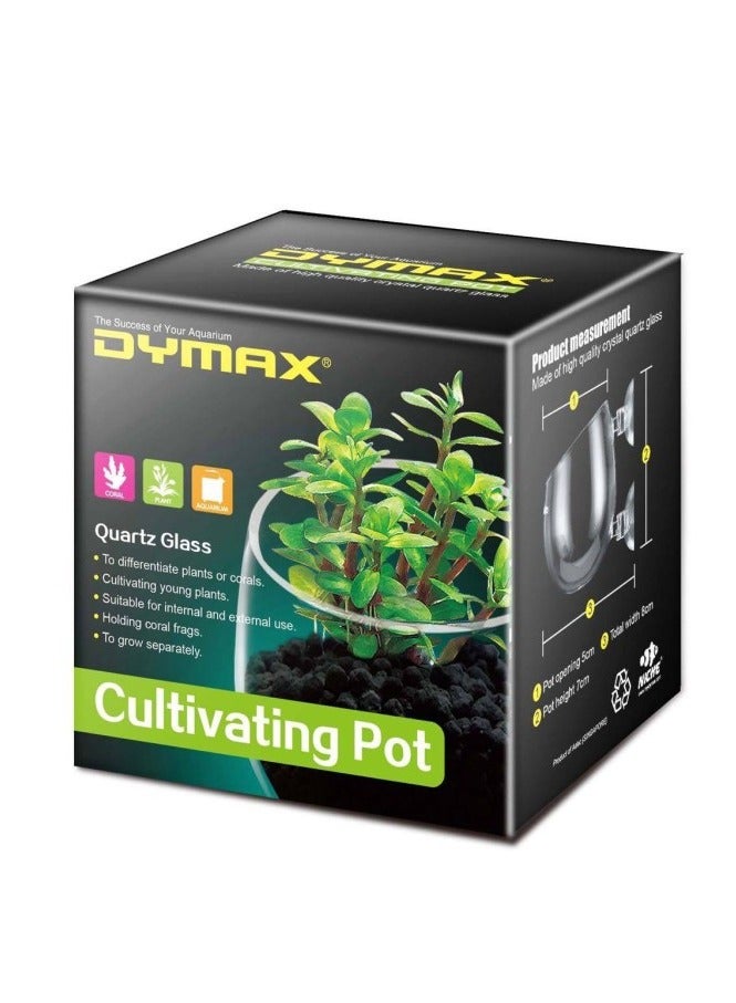 Dymax Crystal Cultivating Pot – Glass Container for Aquarium Plant