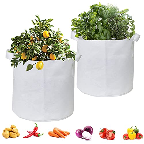 ecofynd 12 inches Non Woven Fabric Pots Grow Bags | Heavy Duty Thickened Fabric Vessel for Indoor & Outdoor, Garden, Office, Balcony (Pack of 2, White) - Image 1