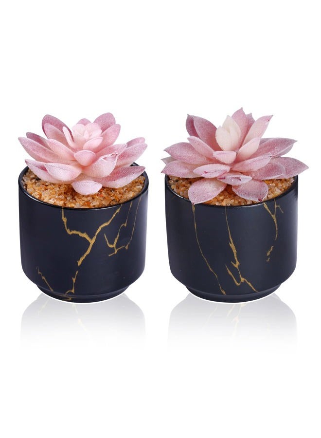 ZENIDA Succulent Artificial Plants,Cute Fake Succulents in 2 Black Ceramic Pots,Small Fake Plants for Office,Table,Desk,Bathroom, Bedroom,Aesthetic Room Shelves Decor,Desk Decorations for Women Office - Image 1