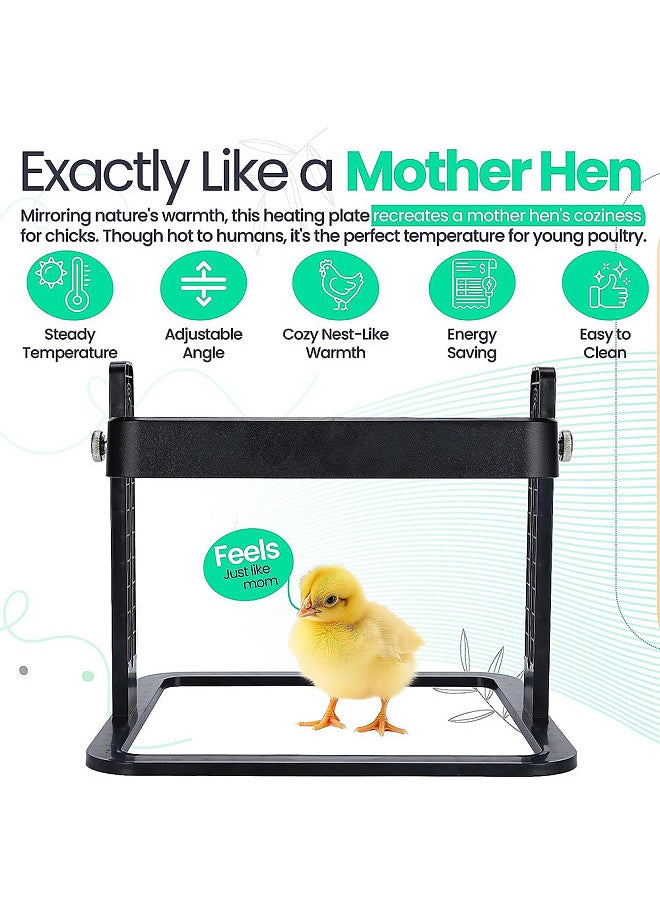 Generic - Chicken Brooder Heater 12 x 12 Inches Poultry Heating Plate for 15 Chicks Warmer with Constant Temperature Adjustable Height 145 Watts Chicken Coop Heater - Image 1