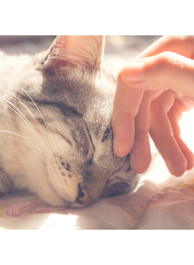 PETMAKER Cat Pet Bed Cave- Indoor Enclosed Covered Cavern/House for Cats Kittens and Small Pets with Removable Cushion Pad by PETMAKER, Tan/White Animal Print 13x12x12 - Image 5