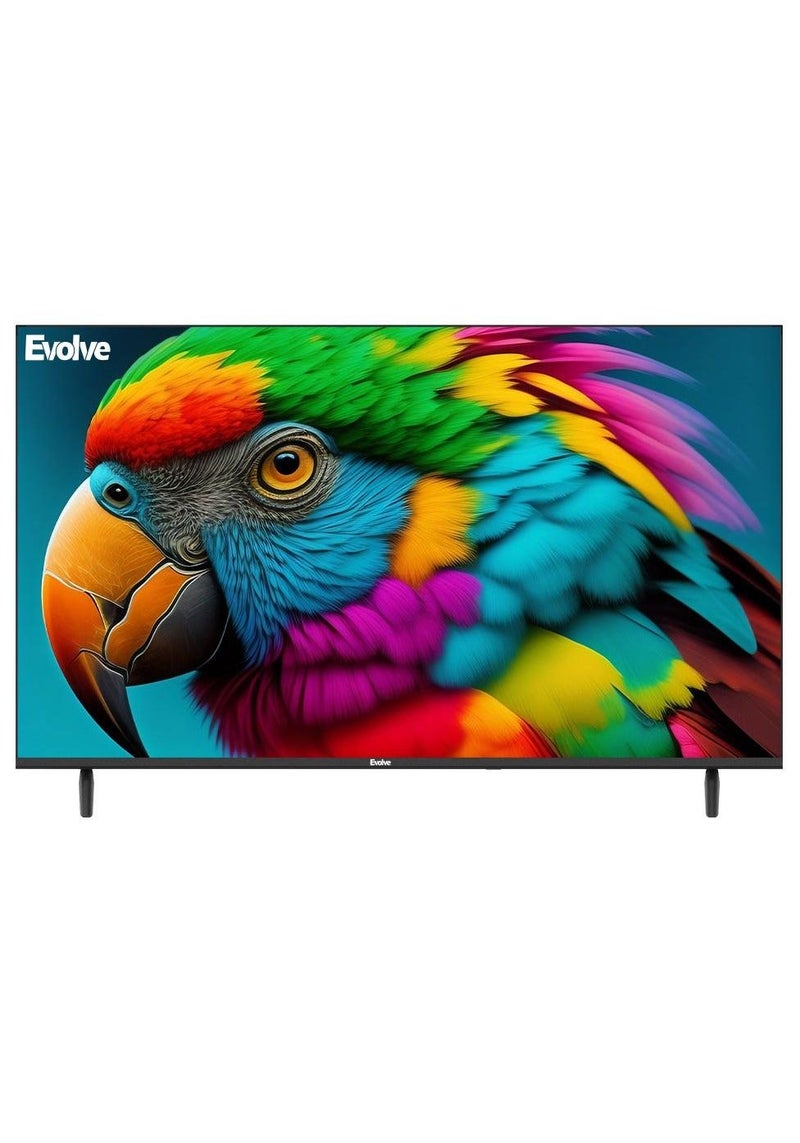 إيفولف تلفزيون ايفولف سمارت 50 بوصة 4K ال اي دي بدون إطار - VLD50SAWOR - Image 1