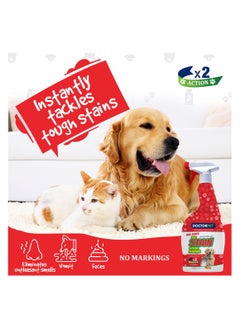 DOCTERPET Doctor Pet Stain and Odour Remover Floral 750ML – Effective Pet Odor Eliminator, Floral Scent Cleaner, Enzyme-Based Formula for Carpets and Upholstery  - Image 3