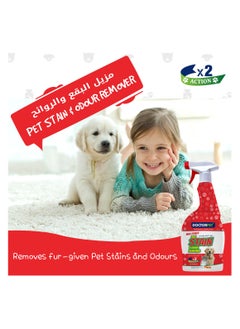 DOCTERPET Doctor Pet Stain and Odour Remover Floral 750ML – Effective Pet Odor Eliminator, Floral Scent Cleaner, Enzyme-Based Formula for Carpets and Upholstery  - Image 4