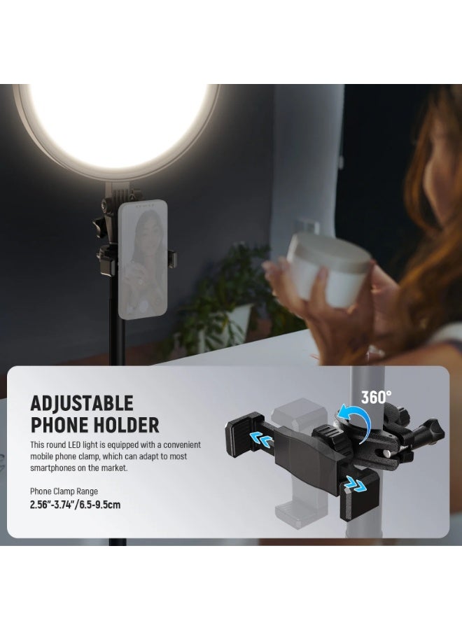 Neewer LED Ring Light 24W NEEWER BASICS – 144 LEDs Edge-Lit 12″ (30cm), 3000–6500K, 1–100% Dim, Telescopic Stand 86.5–173.5cm, Phone Holder & Remote for Streaming · Vlog · Makeup - Image 5