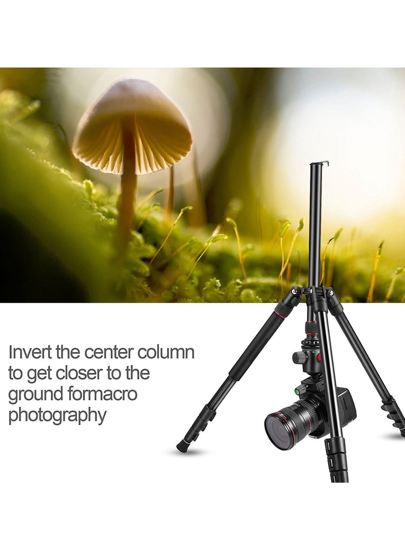 DMK Power - T264 Tripod 67inch 170cm 2 in 1 Tripod and Monopod Lightweight Portable Tripod for SLR DSLR Cameras with Tripod bag and Mobile holder Load up to 5Kg - Image 1