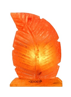 GEOHONEY Geohoney - Himalayan Salt Lamp Feather  - Image 1