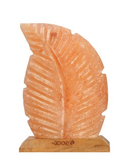 GEOHONEY Geohoney - Himalayan Salt Lamp Feather  - Image 2