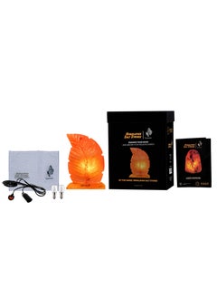 GEOHONEY Geohoney - Himalayan Salt Lamp Feather  - Image 5