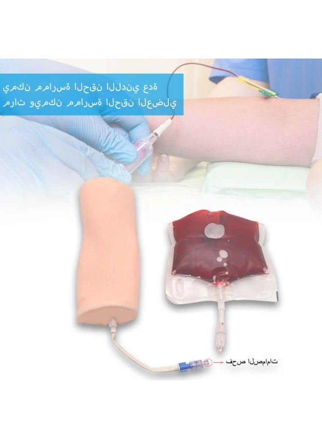 مجموعة أدوات التدريب الوريدي للممرضات، أداة أساسية لطلاب التمريض مع محاكاة واقعية للأوردة، مثالية لممارسة المهارات السريرية، هدية رائعة للممرضات (لون البشرة) - Image 5