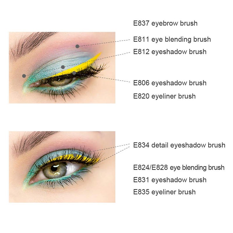EIGSHOW 10 Pcs Eye Makrup Brush Set Professional Eye Makeup Brushes for Eyeshadow Concealer Eyeliner Brow Blending Brush Tool Rose Gold - Image 3