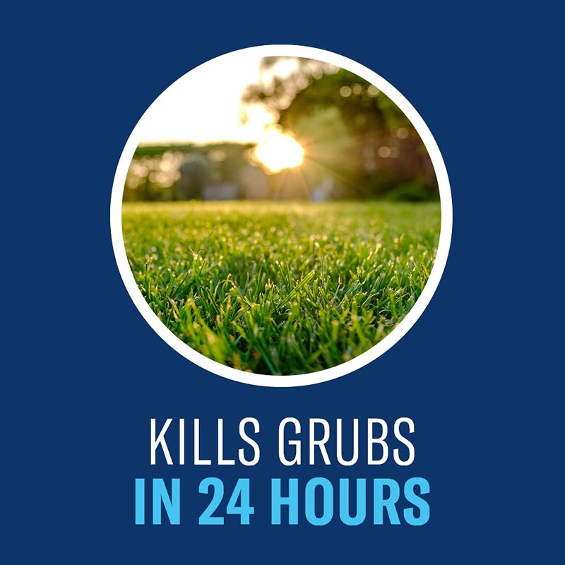 BioAdvanced 24-Hour Grub Plus for Lawns Ant, Tick, and Insect Killer, 10-Pounds, Ready-to-Spread Granules, Standard Bag - Image 4