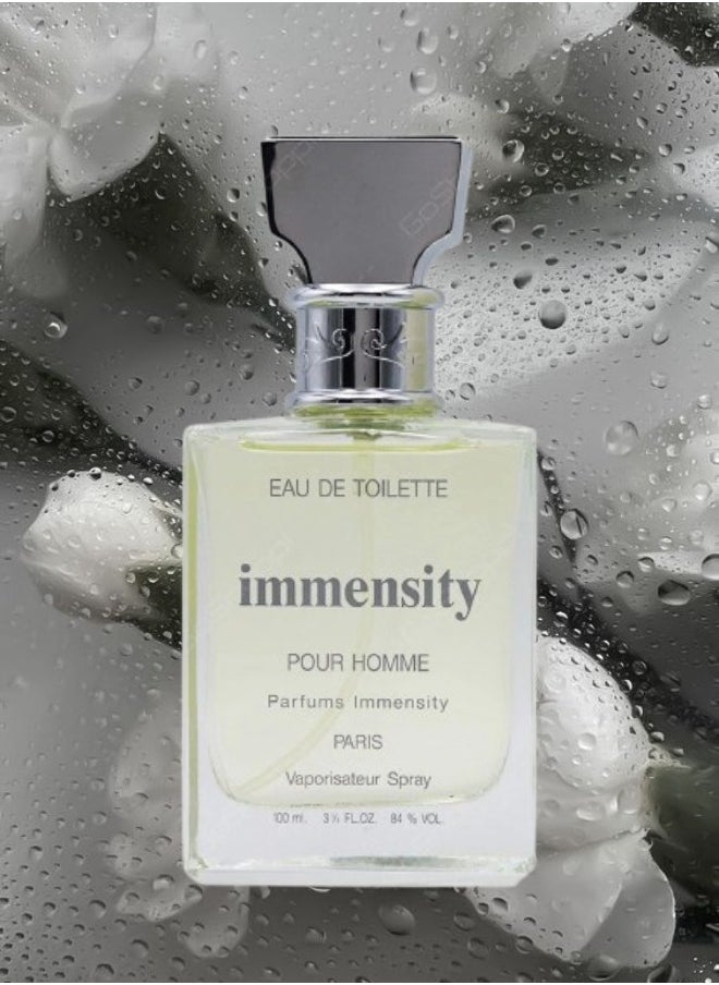 4 Pieces Immensity Perfume 100ML - pzsku/Z8C791B16DCF0ABDB7AF0Z/45/_/1721637824/83d3fc50-cf18-4b30-a87e-248c5f1dd74e