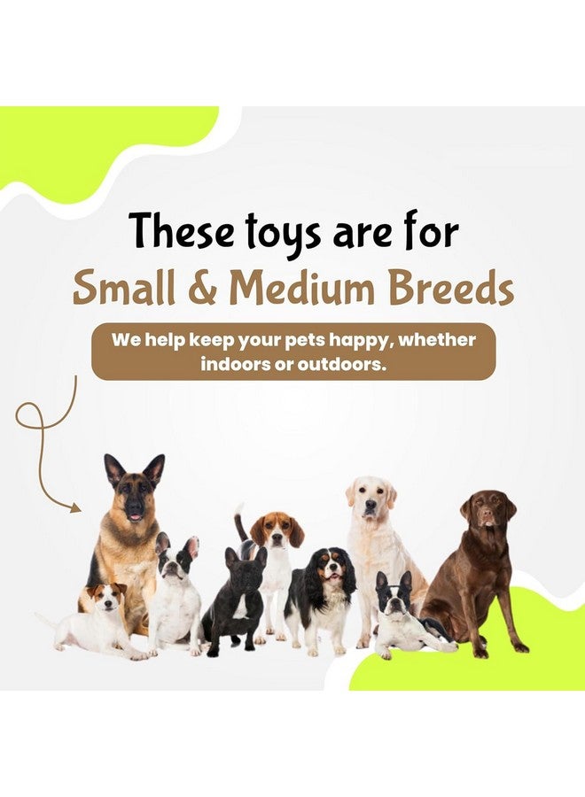 إيميلي بيتس ألعاب مضغ للكلاب والجراء، غير سامة وآمنة لكلبك، وقت لعب طويل الأمد، ألعاب مضغ صلبة لمضغ صحي (عظام دهنية) - Image 5