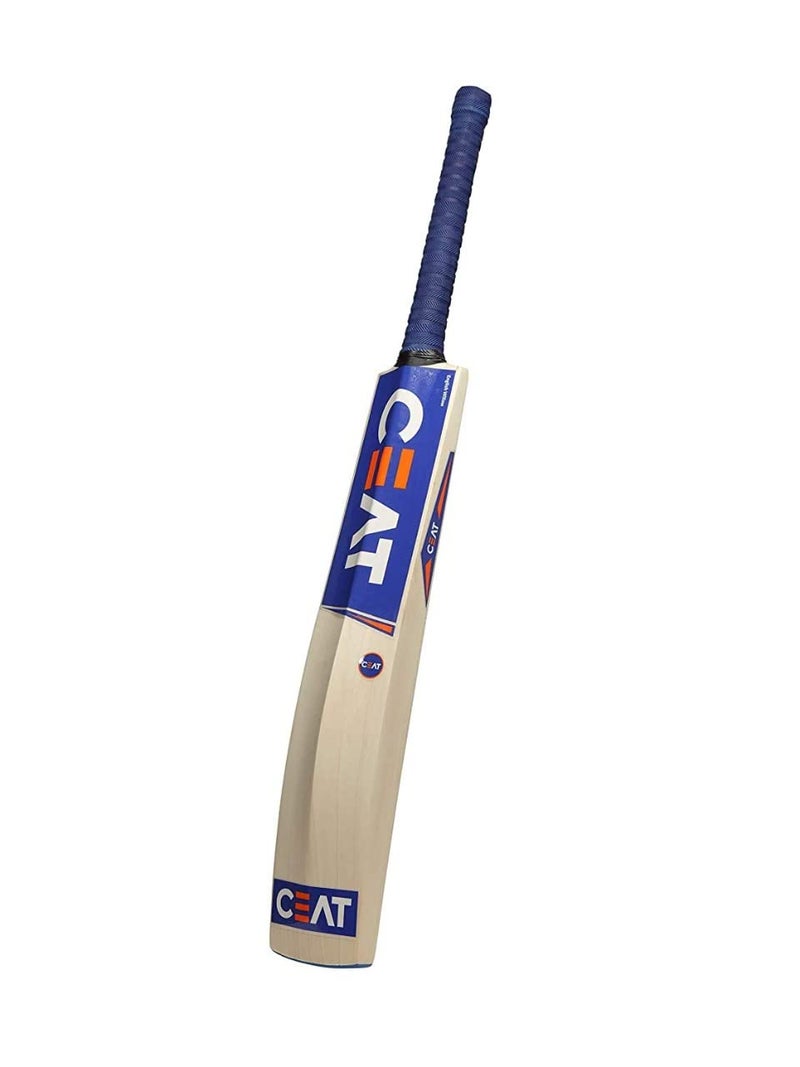 XTROKE Popular Willow Cricket Bat with Tennis Ball Combo for Boys and Girls (Size-Full (5 Years Above Boys & Girls)) - Image 4