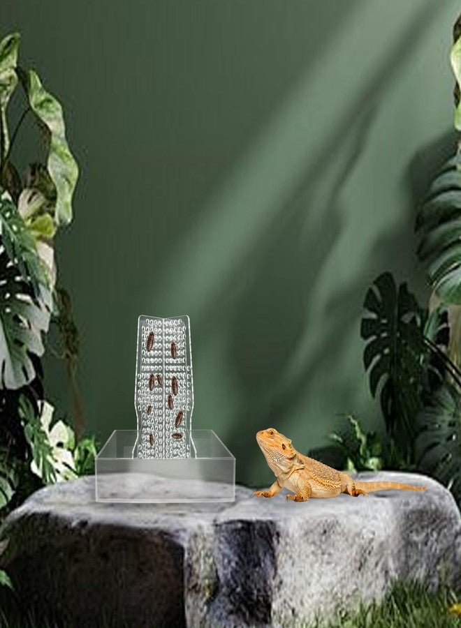 Neeenn Bearded Dragon Feeder, Transparent Acrylic Chameleon Feeding Bowl, Reptile Terrarium & Aquarium Accessories, Climbable Bug Food Bowl for Lizard Frog Gecko - Image 5