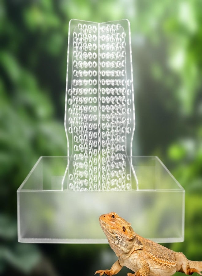 Neeenn Bearded Dragon Feeder, Transparent Acrylic Chameleon Feeding Bowl, Reptile Terrarium & Aquarium Accessories, Climbable Bug Food Bowl for Lizard Frog Gecko - Image 1