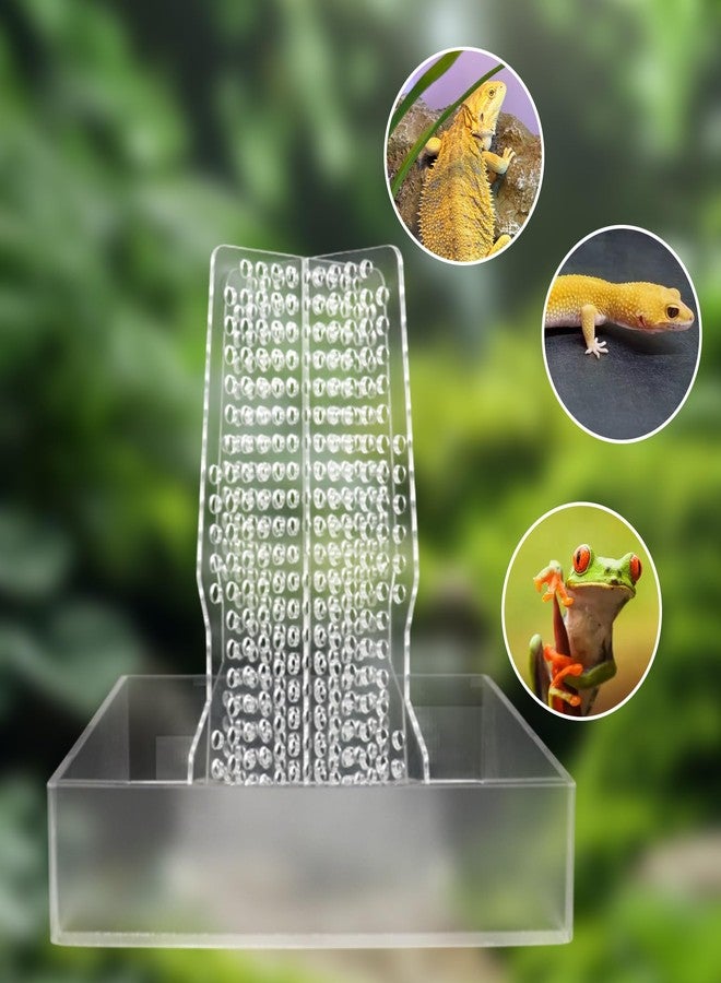 Neeenn Bearded Dragon Feeder, Transparent Acrylic Chameleon Feeding Bowl, Reptile Terrarium & Aquarium Accessories, Climbable Bug Food Bowl for Lizard Frog Gecko - Image 4