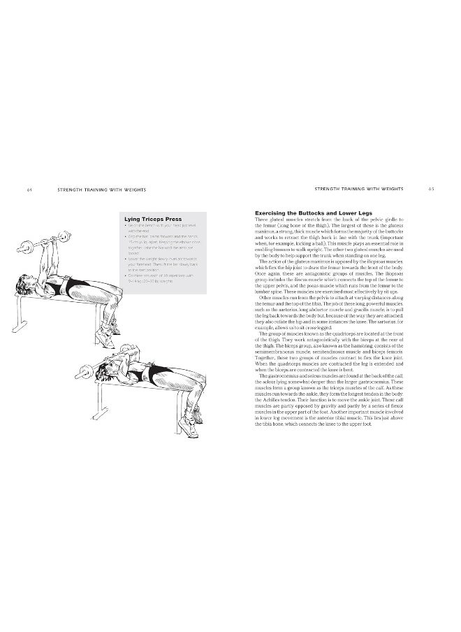 SAS and Special Forces Fitness Training  - Image 5