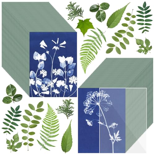 LIGHOON Sun Print Paper Kit Cyanotype Paper, 60 Sheets Cyanotype Papers with 1 Sheet Acrylic Panel, High Sensitive Nature Solar Activated Printing Art Supplies for Arts Crafts DIY Project - Image 1