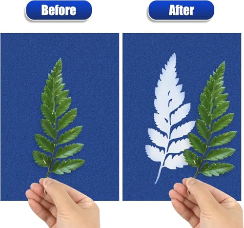 LIGHOON Sun Print Paper Kit Cyanotype Paper, 60 Sheets Cyanotype Papers with 1 Sheet Acrylic Panel, High Sensitive Nature Solar Activated Printing Art Supplies for Arts Crafts DIY Project - Image 4