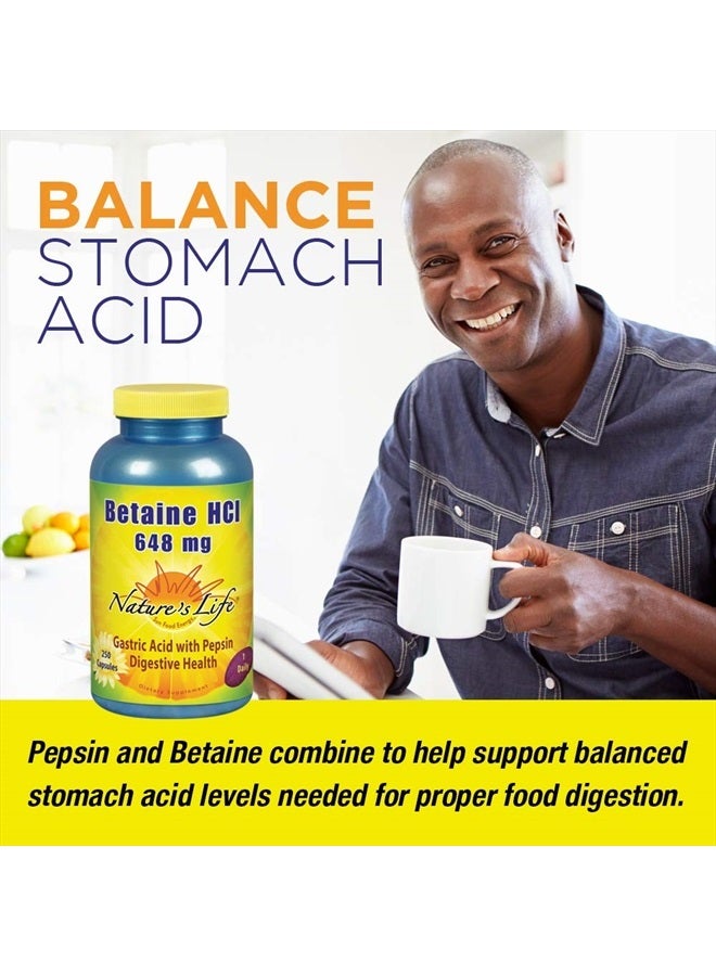 Nature's Life Betaine HCL Supplement | Digestion Support Formula | Non-GMO | 648 mg 100 Gelatin Caps - Image 3