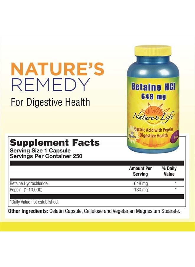 Nature's Life Betaine HCL Supplement | Digestion Support Formula | Non-GMO | 648 mg 100 Gelatin Caps - Image 2