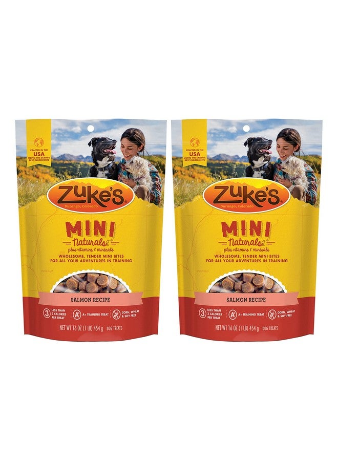 Zuke's Mini Naturals Dog Training Treats, Salmon Recipe, Soft Mini Dog Treats With Vitamins & Minerals, Made For All Breed Sizes (Salmon, 16 Ounce (Pack Of 2) - Image 1