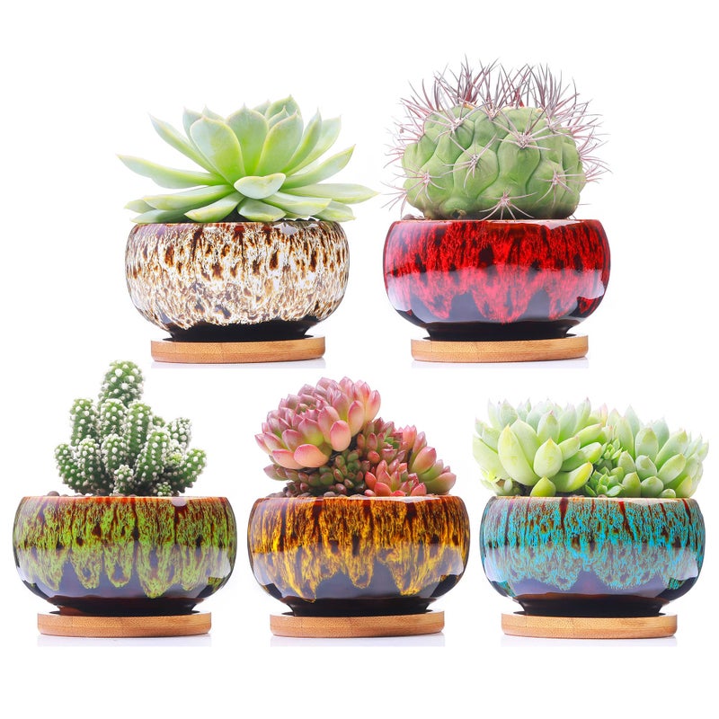 LAMDAWN Cute Ceramic Succulent Garden Pots Planter with Drainage and Attached Saucer Set of 5 Plants Not Included Round