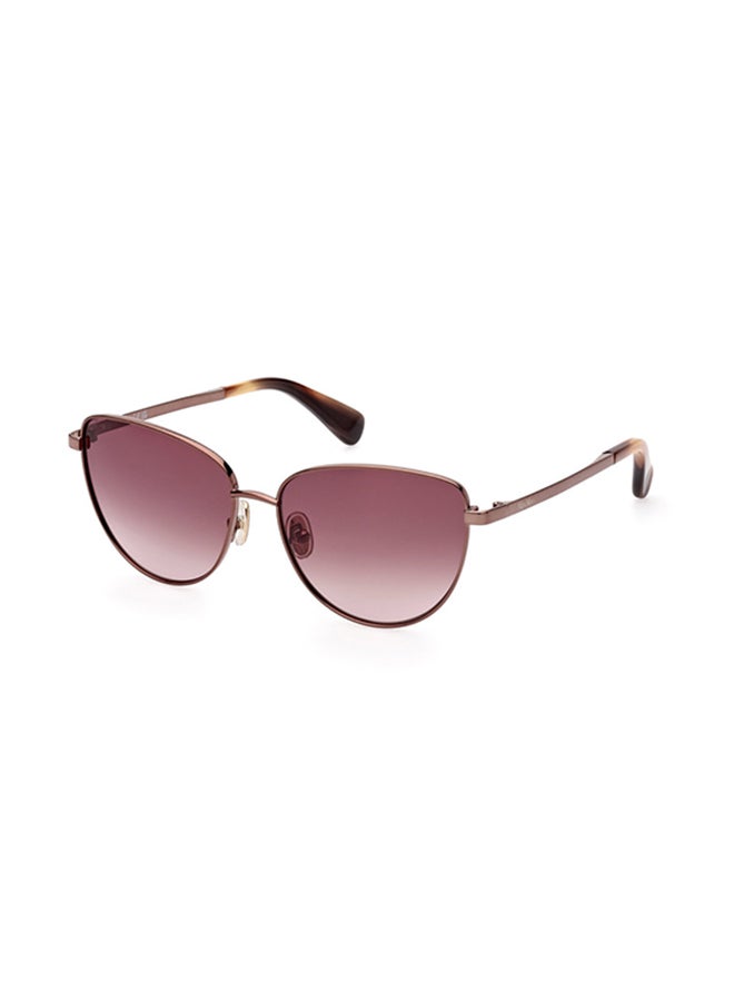 MaxMara Cat Sunglasses For Women - Light Brown/Striped - Image 1