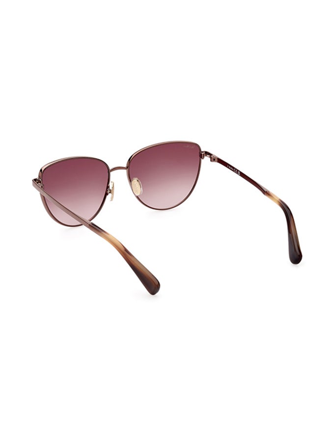 MaxMara Cat Sunglasses For Women - Light Brown/Striped - Image 4