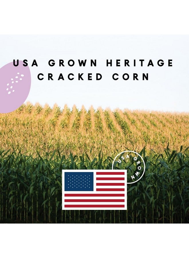 مانا برو خدش الدجاج - الذرة الأرجوانية الأمريكية، علاج لأكواخ الدجاج، طعام البط، مستلزمات الدجاج - 10 أرطال - Image 2