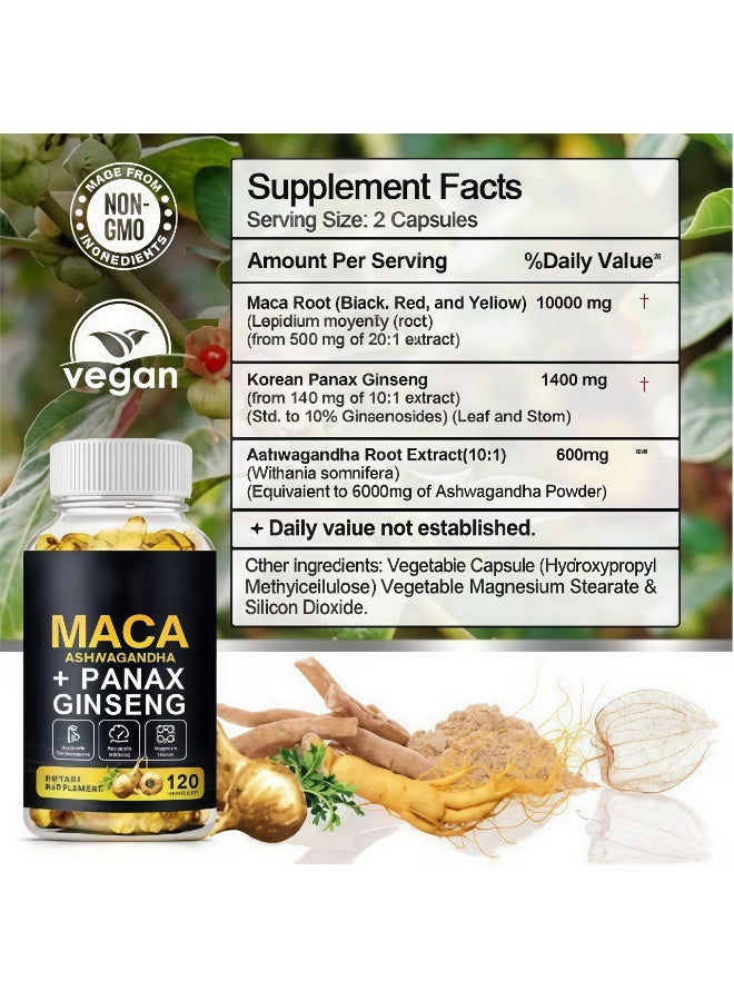 ماكا كبسولات مكمل غذائي MACA + Ashwagandha + Panax Ginseng – 120 كبسولة لزيادة الطاقة، تخفيف التوتر ودعم الحيوية | مزيج طبيعي لتحسين الرفاهية اليومية - Image 3