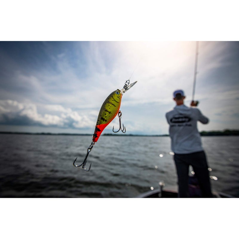 Berkley Flicker Shad Fishing Lure, Blue Tiger, 5/16 oz, 2 3/4in | 7cm Crankbaits, Size, Profile and Dive Depth Imitates Real Shad, Equipped with Fusion19 Hook - Image 4