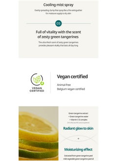 Goodal Green Tangerine Vita C Serum Mist 100Ml  - Image 4
