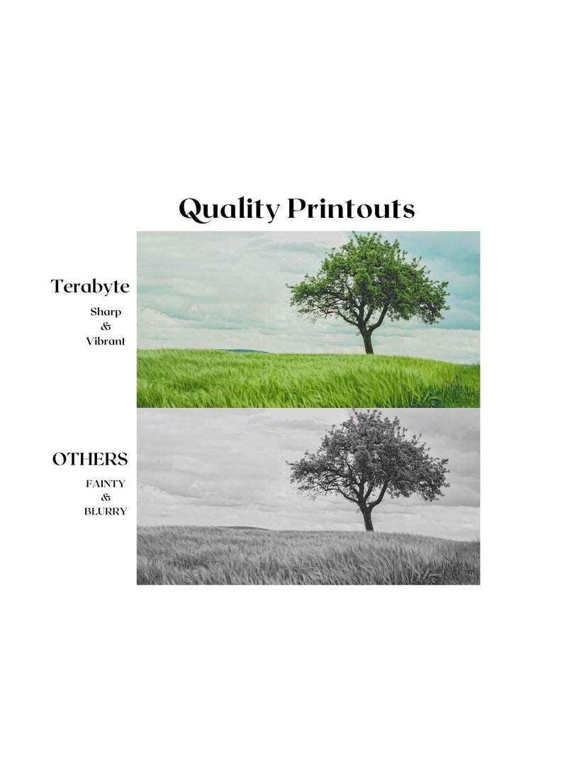 TERABYTE TONER CARTRIDGE TN3030/TN3060/570/3035/ BLACK - Image 2