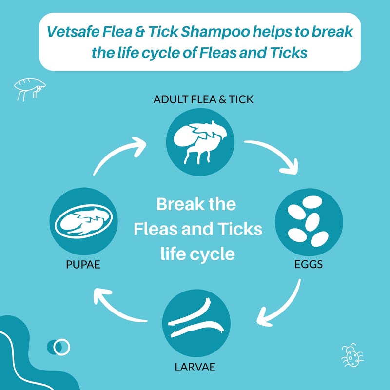 VetSafe Flea and Tick Shampoo (500 ml) | Protects Against Ticks, Fleas & Lice | Powered with Neem | Anti-Microbial and pH Balanced Dog Shampoo | | Natural Moisturizing Shampoo - Image 5