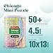Geotoys Chicago Mini City Puzzle 100 Piece Puzzles for Kids and Adults in Portable Can 13 x 10 Educational Travel Puzzle for Ages 7 and Up Mini Puzzles to Learn Explore Geography - Image 4