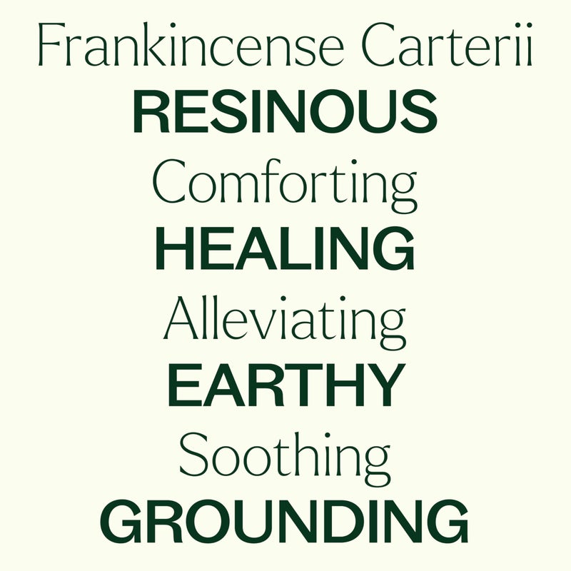 Plant Therapy Frankincense Carterii Essential Oil 100% Pure, Undiluted, Natural Aromatherapy, Therapeutic Grade 10 mL (1/3 oz) - Image 4