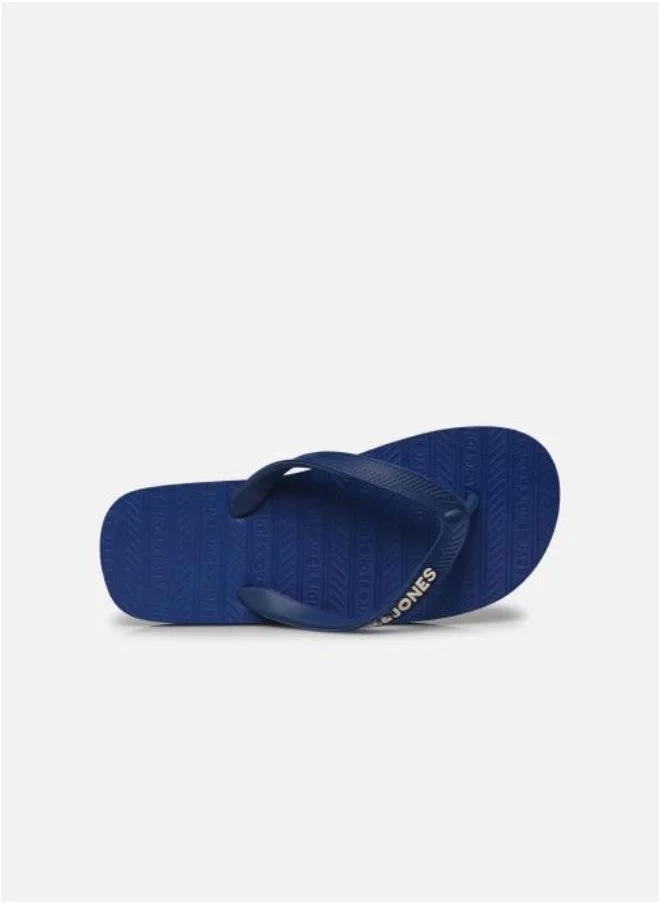 جاك وجونز جونيور جي اف دبليو بيسك فليب فلوب جي ان ار