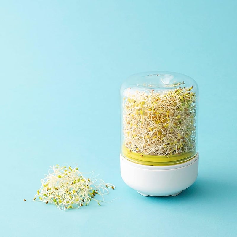 Chef'n 102-742-390 Countertop Sprouter Growing Kit, One Size, Backing White/Wasabi/Glass - Image 5