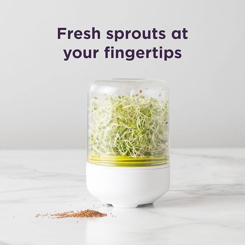 Chef'n 102-742-390 Countertop Sprouter Growing Kit, One Size, Backing White/Wasabi/Glass - Image 3