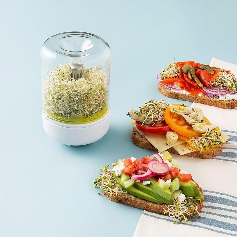 Chef'n 102-742-390 Countertop Sprouter Growing Kit, One Size, Backing White/Wasabi/Glass - Image 4