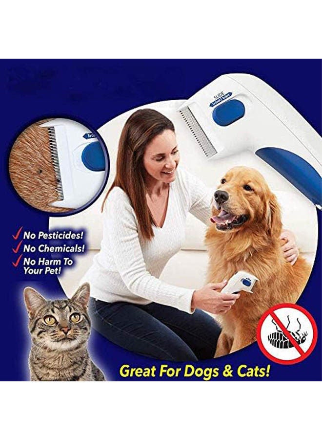 Golden Arrows Head Lice Removal Pet Cleaning For Dogs And Cats - Image 2