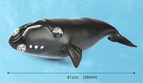 SmilerSmile Simulated Ocean Big Animal One pc 15 Inch Soft Filled Rubber Sea Educational Toys Right Whale - Image 5