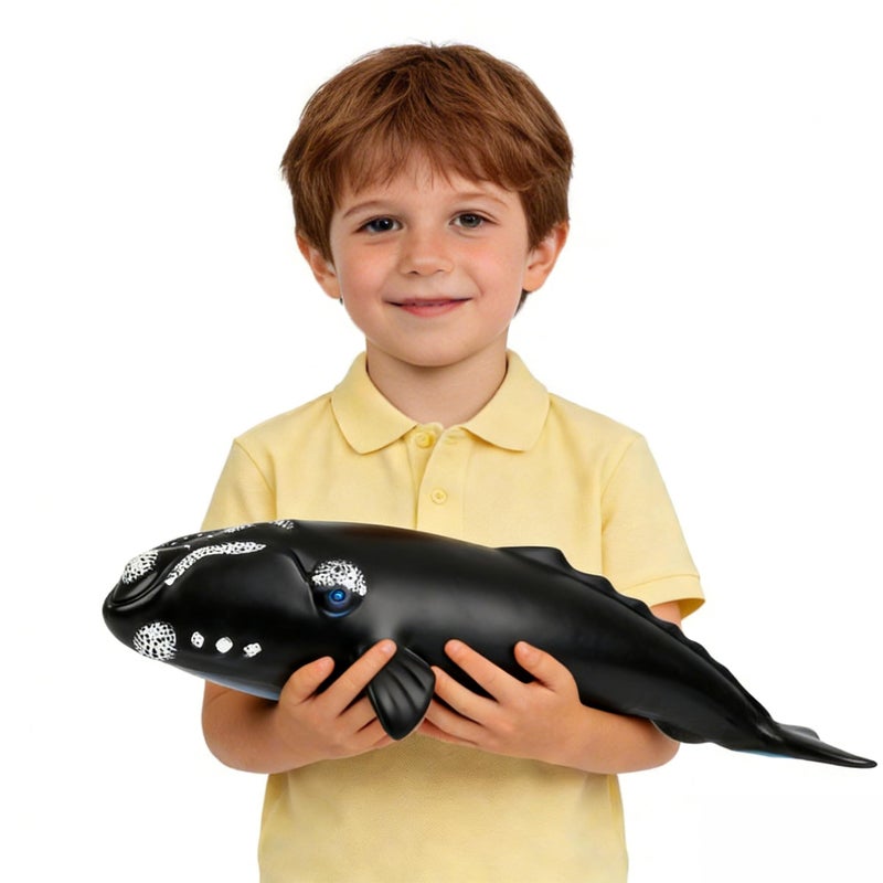SmilerSmile Simulated Ocean Big Animal One pc 15 Inch Soft Filled Rubber Sea Educational Toys Right Whale - Image 3