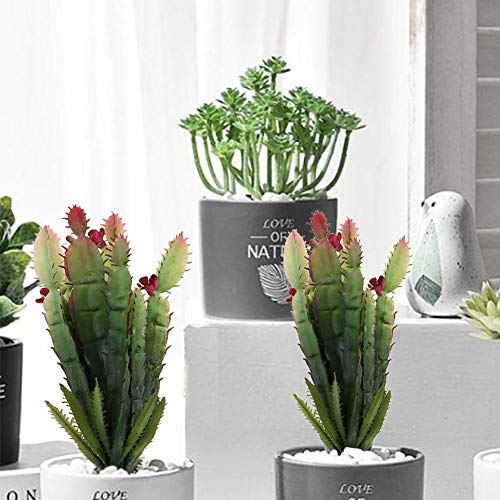 Bluecell 2pcs Real Looking Artificial Cactus Artificial Cacti Plant DIY Material for Home Decoration Flower Arrangement - Image 5